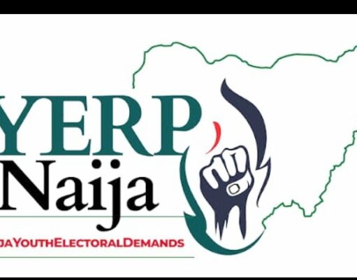 Making downloadable PVCs work for citizens: A youth perspective on access and citizen participation