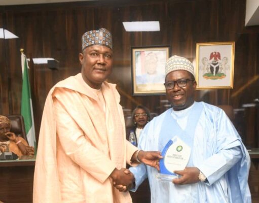 2027: INEC, Amupitan deserves commendation, not condemnation —AYF