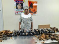 NDLEA nabs Nigerian-British grandma with 13kg cocaine concealed in plantain peels