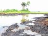 Uzere oil spill must be acted on now, environmental activists raise alarm