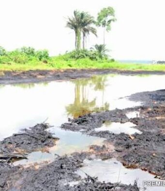Uzere oil spill must be acted on now, environmental activists raise alarm