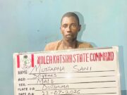 N10 billion Cocaine, Loud, opioids intercepted at Lagos ports as NDLEA arrests kingpins