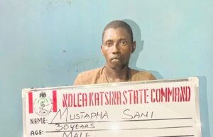 N10 billion Cocaine, Loud, opioids intercepted at Lagos ports as NDLEA arrests kingpins