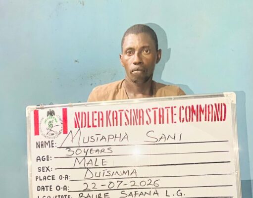 N10 billion Cocaine, Loud, opioids intercepted at Lagos ports as NDLEA arrests kingpins