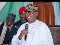 Adebayo urges north unity against insecurity,