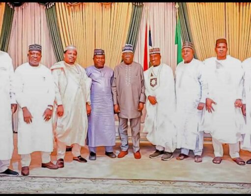 Minister Matawalle leads eight Zamfara lawmakers to Tinubu, pledges APC loyalty