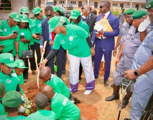 COWA plants 14,882 trees, mobilises 682 green ambassadors in Abuja