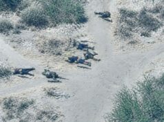 Troops Kill 44 terrorists in Borno, Lake Chad