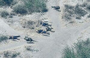 Troops Kill 44 terrorists in Borno, Lake Chad